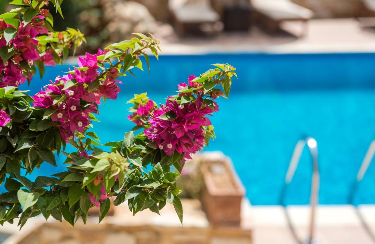 Mistral Hotel - For Solo Travelers Maleme  Bagian luar foto